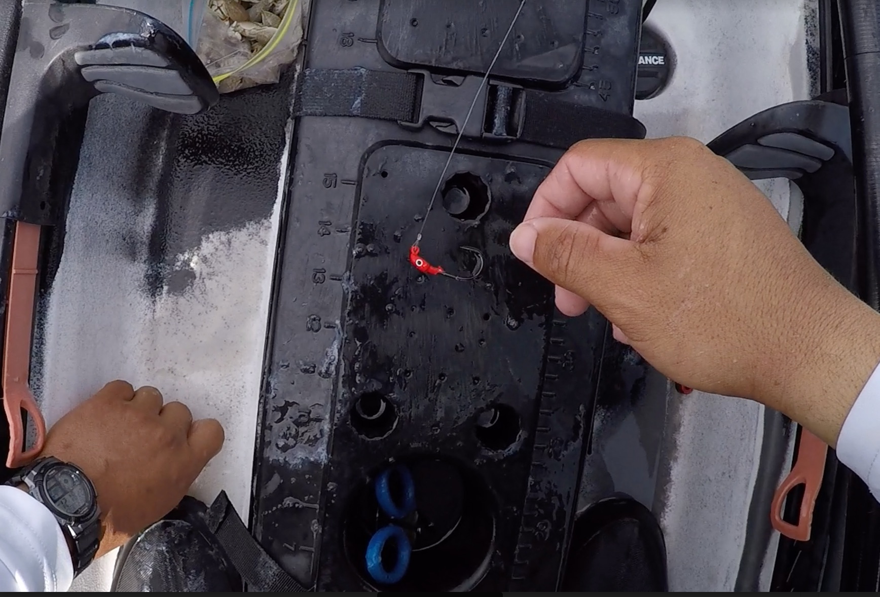 how to catch black drum