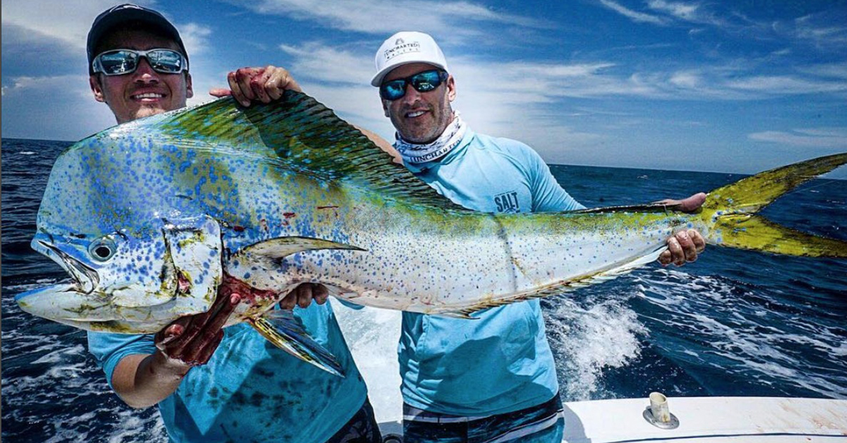 http://Bull%20Mahi-Mahi%20Fishing