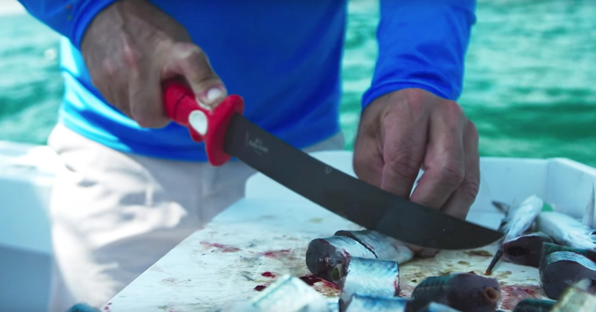 Chunk bait for Mahi-Mahi Fishing