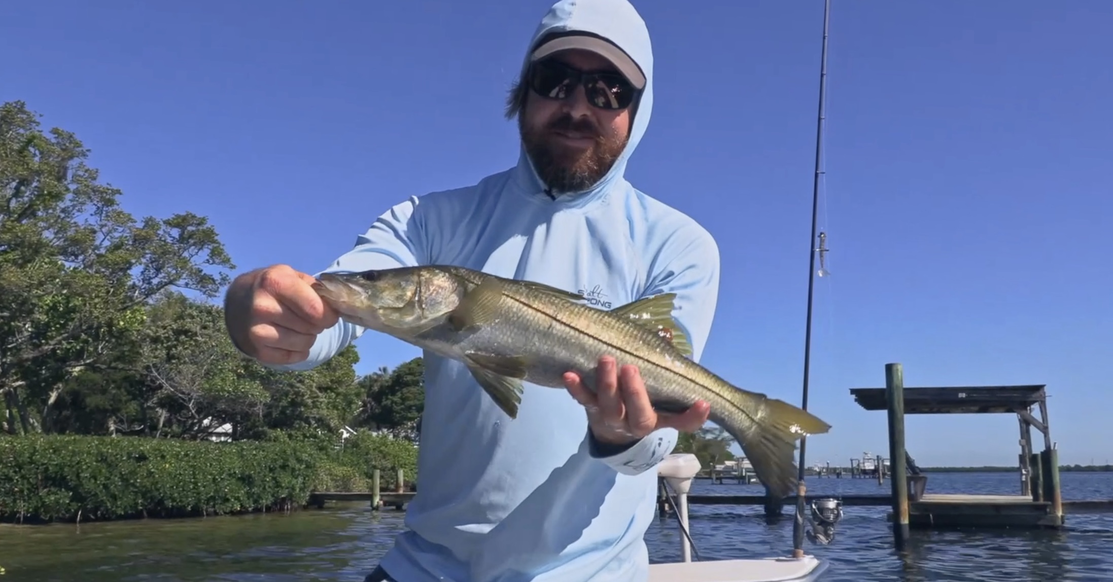 manatee river snook