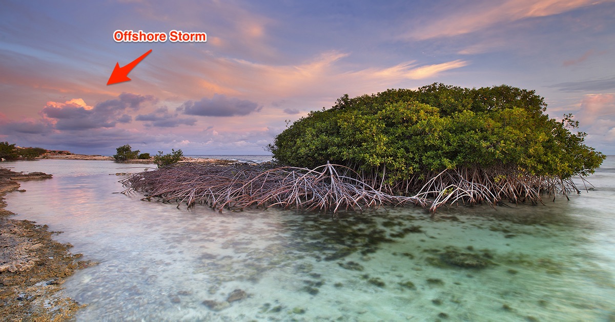 Mangrove Island with Offshore Storm