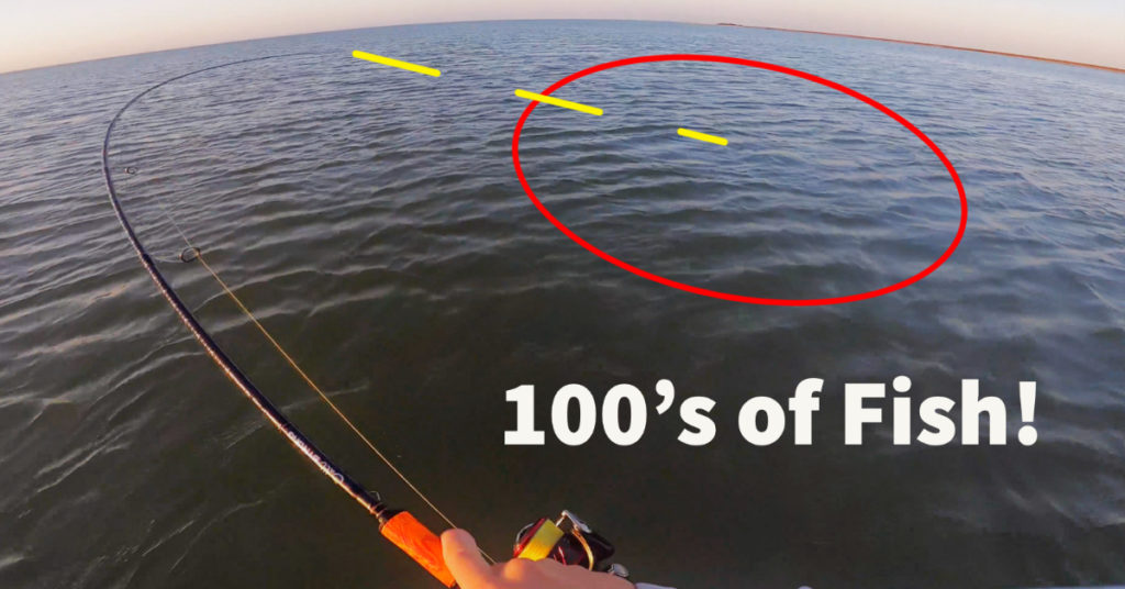 winter redfish schools, fishing in a barrel!