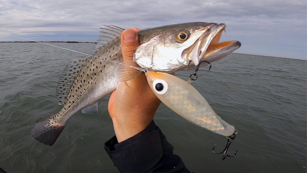 trout on paul brown fat boy corky