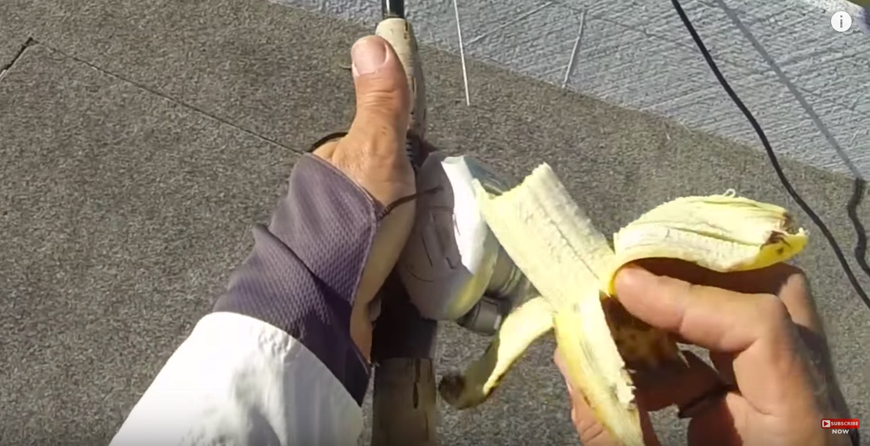 are bananas bad luck fishing