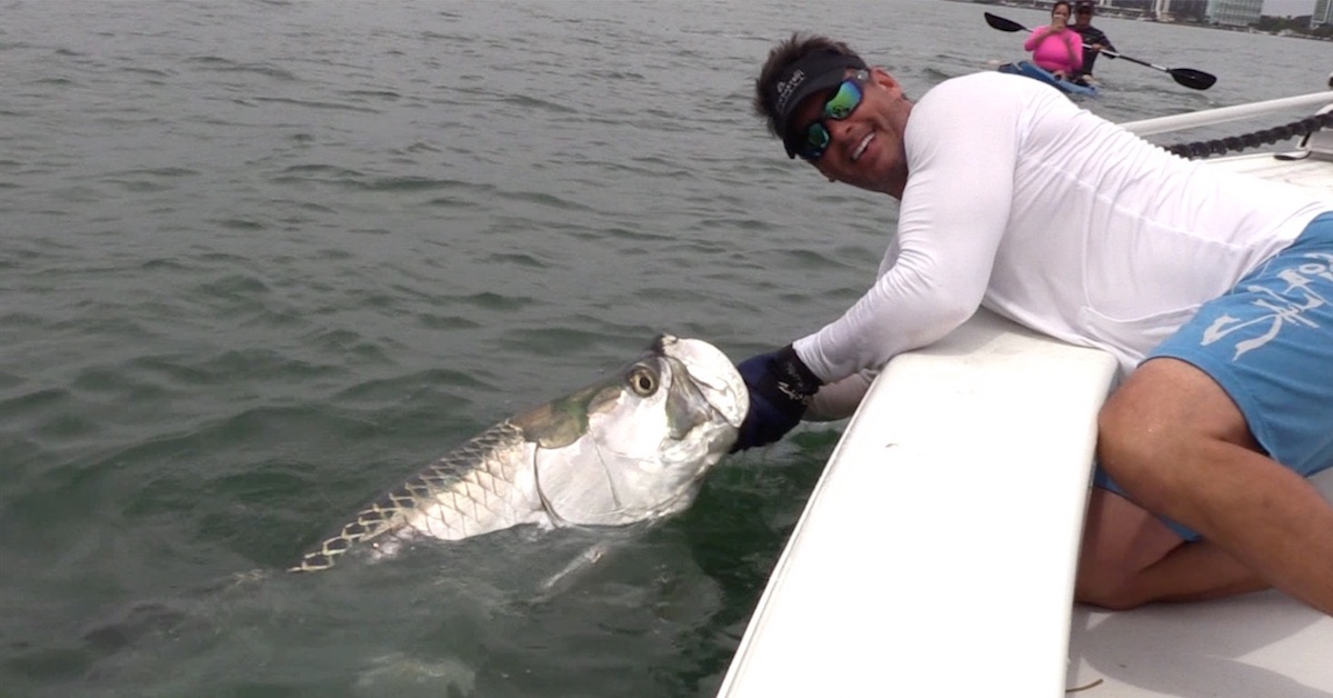http://Peter%20Miller%20Tarpon
