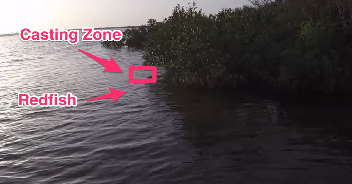 Where to Cast to Catch Redfish