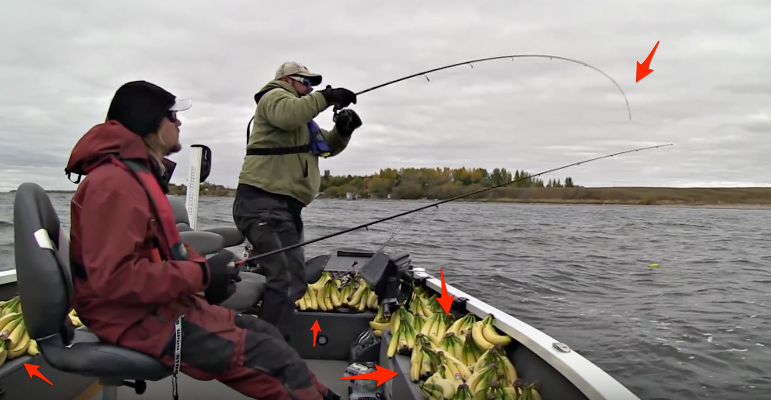 bad luck bananas on boats