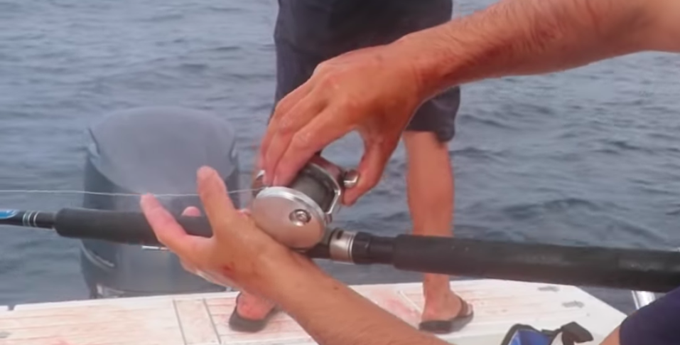 tuna tackle