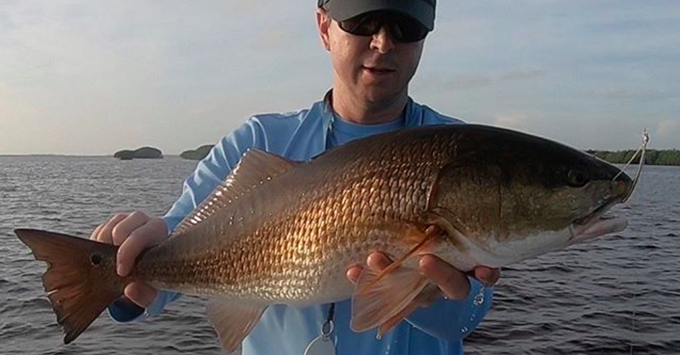 big redfish on weedless spoon