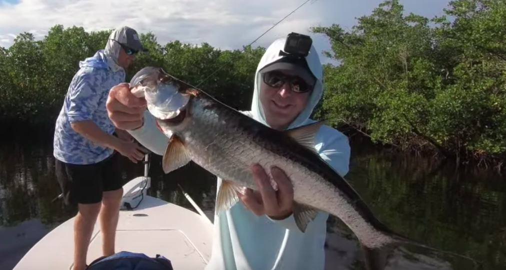 backcountry tarpon