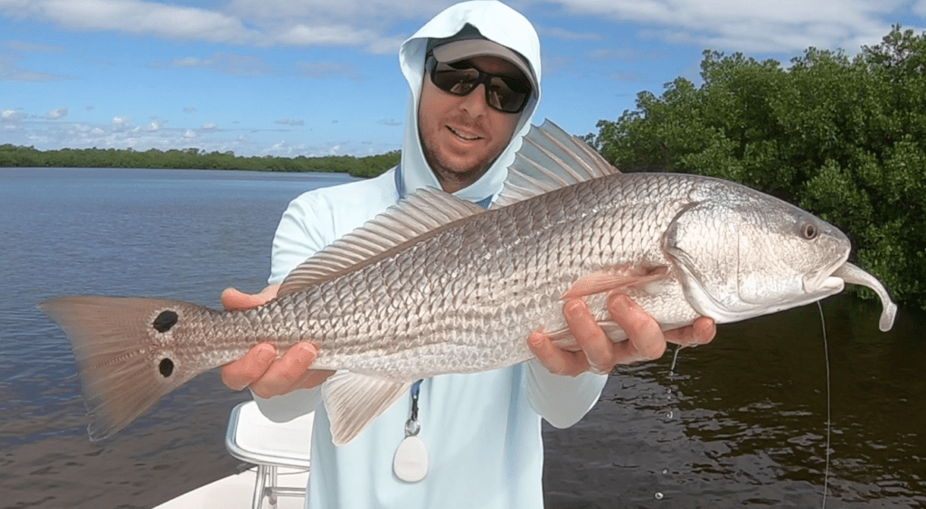 shortcut to catching snook redfish