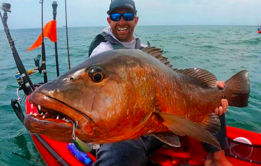 robert field podcast