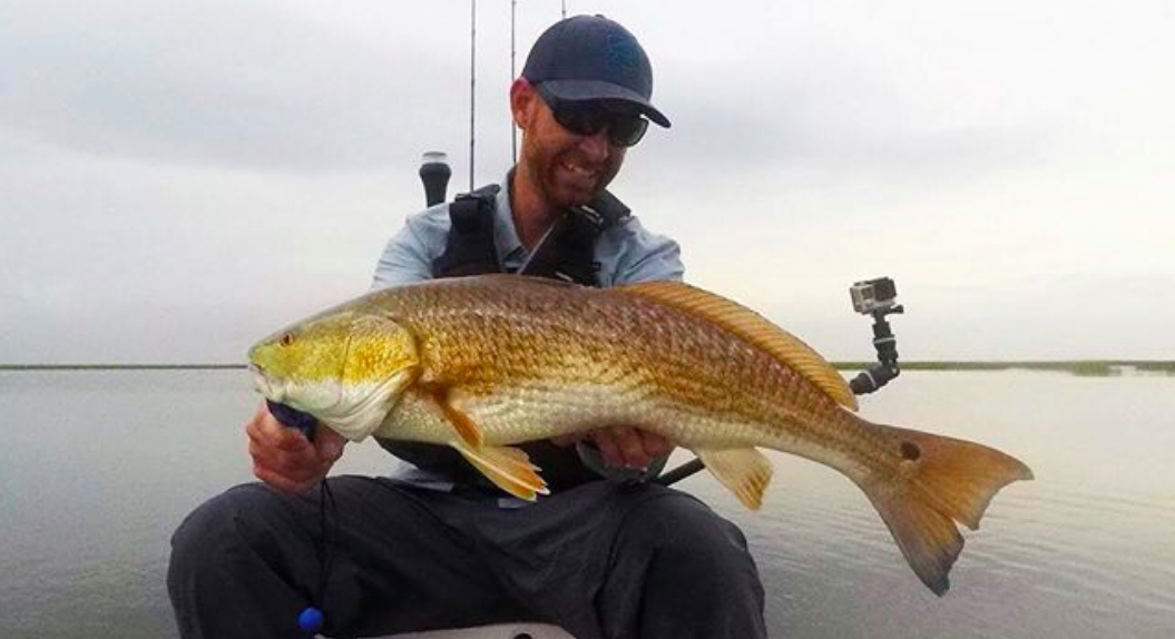 robert field interview