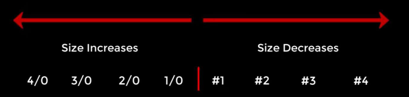 best circle hook size