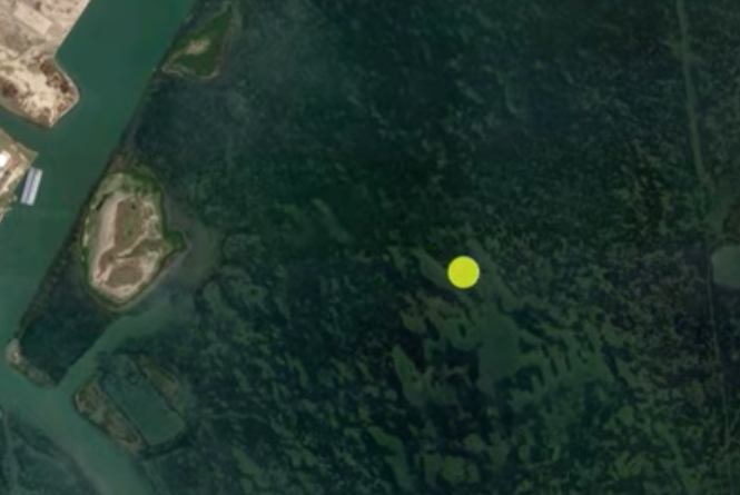 fishing potholes and seagrass