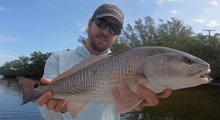 winter redfish for an inshore slam
