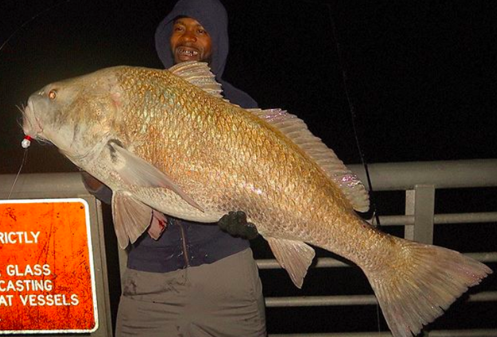 draggrunningjunkie black drum