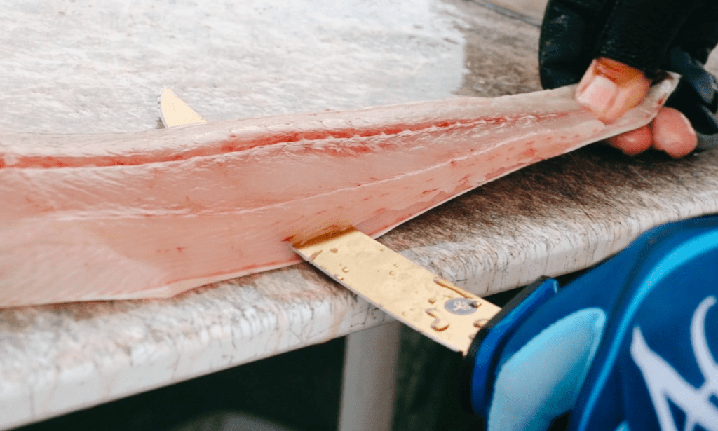 how to clean spanish mackerel