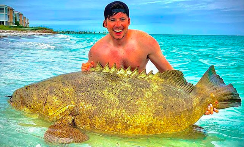 inshore grouper