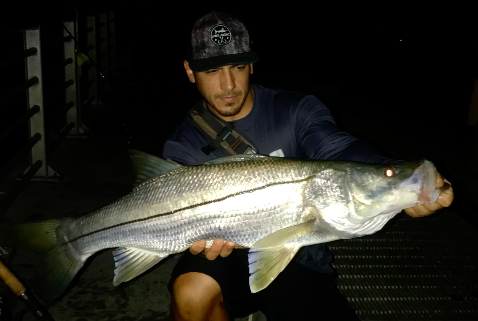 flair hawk snook