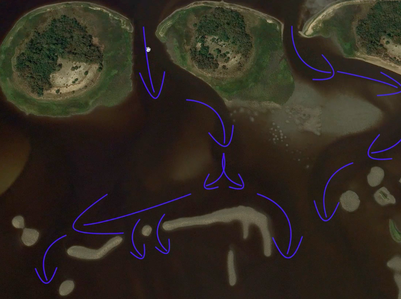 how to find oyster bars that hold fish