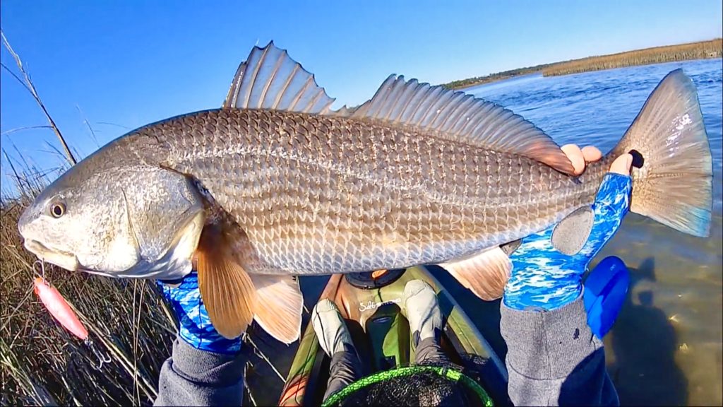 redfish coastal creek