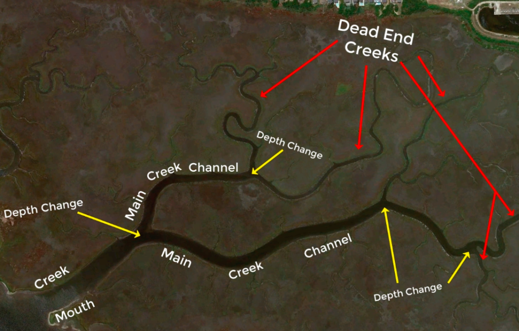 coastal creek fishing for redfish