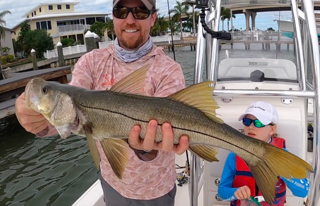 snook under docks