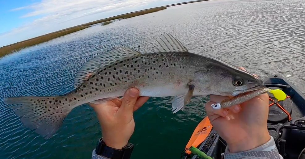 trout mirrolure marsh minnow