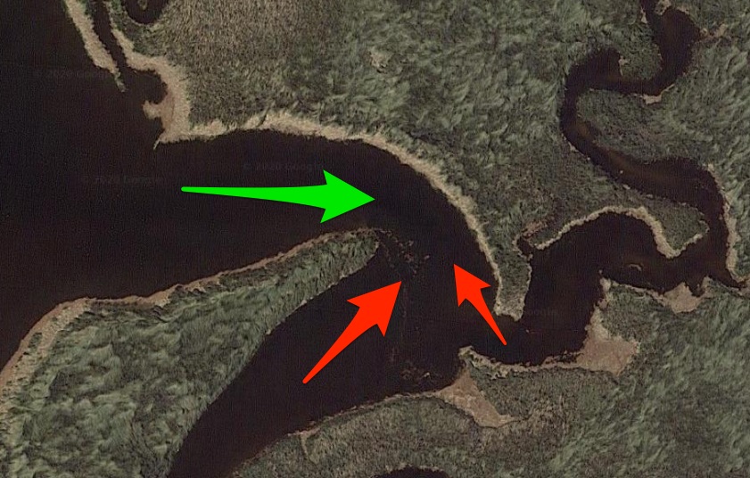 where to find flounder