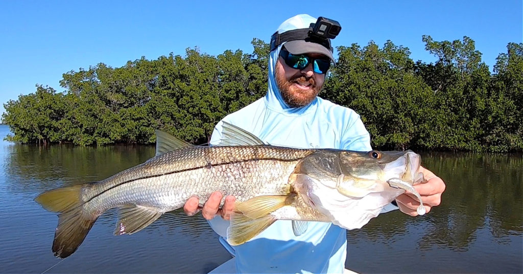 sight fishing snook in the winter