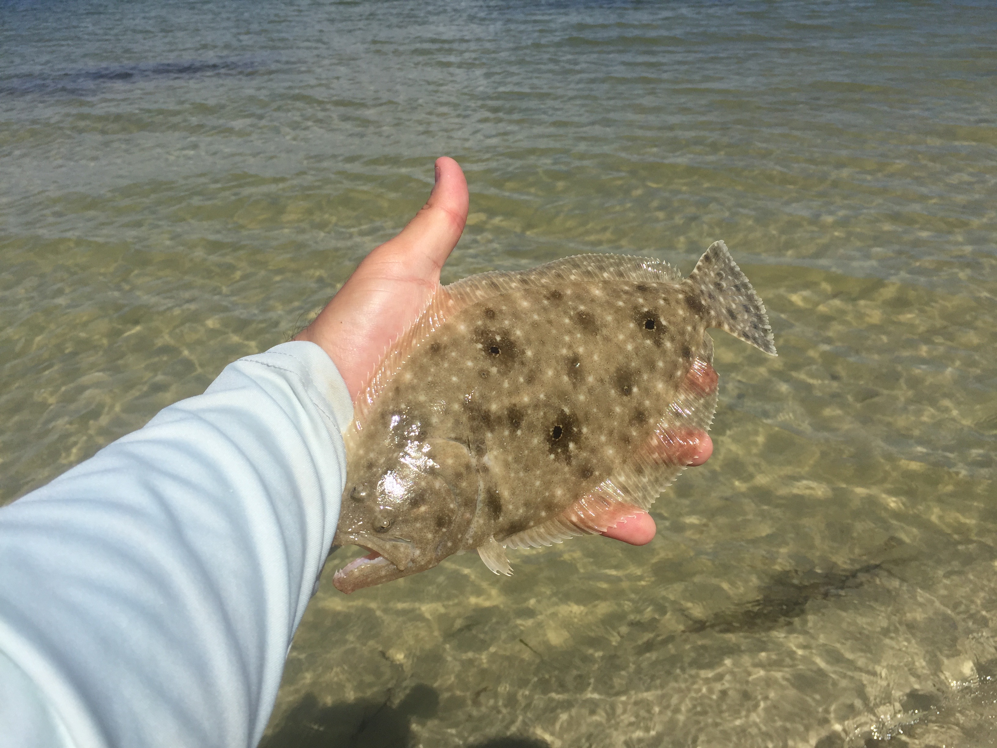 flounder fishing tips