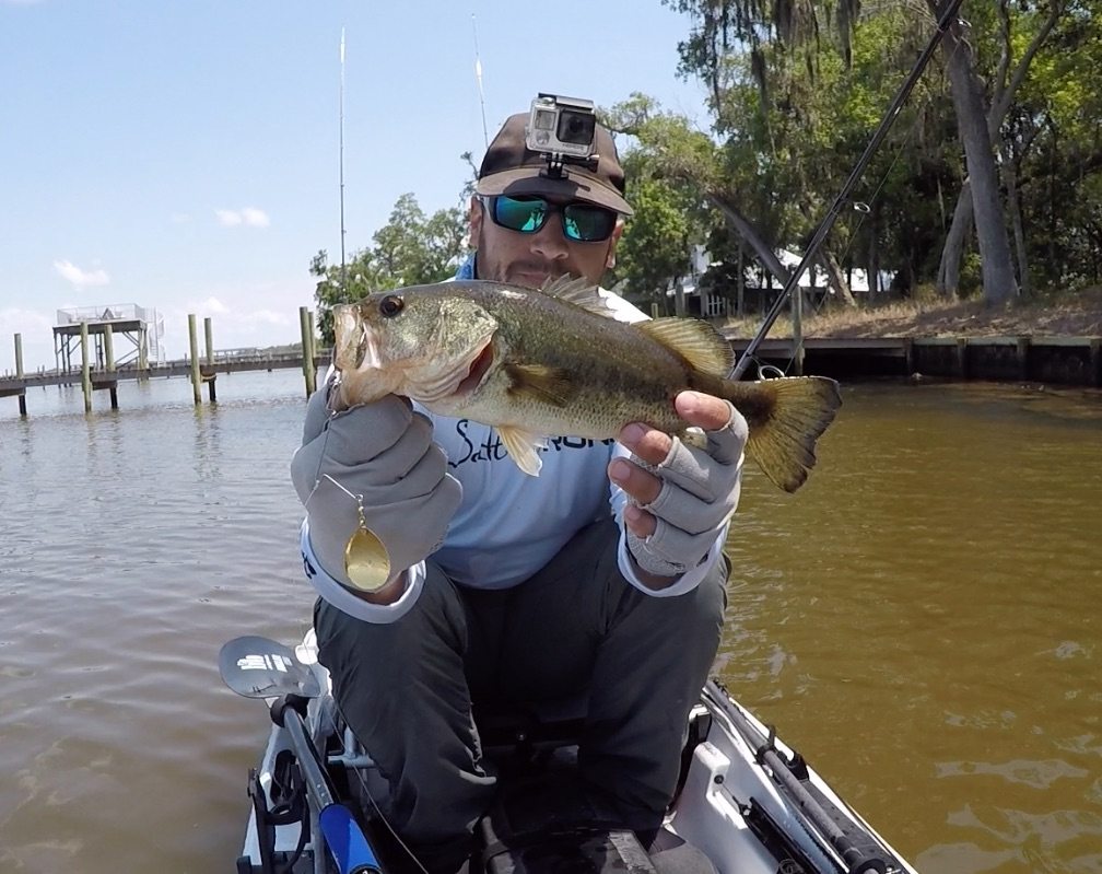 spinnerbaits for bass