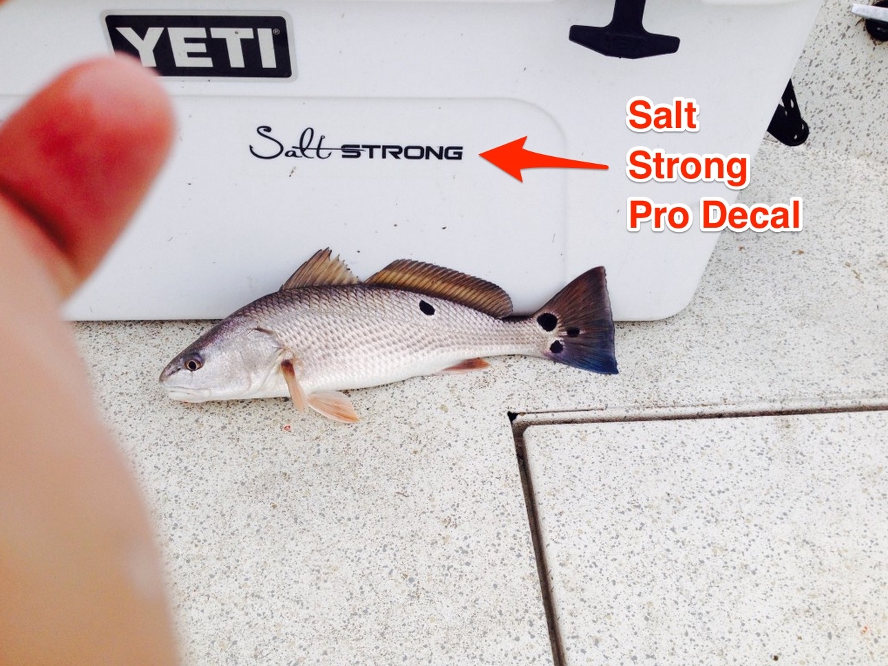 best online fishing tournament