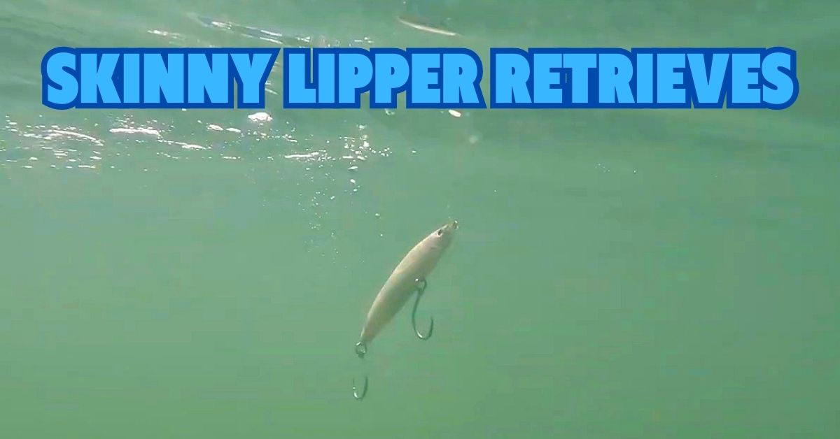 http://best%20ways%20to%20retrieve%20the%20skinny%20lipper