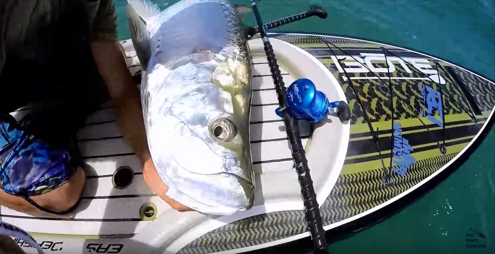 how to catch tarpon from a paddleboard