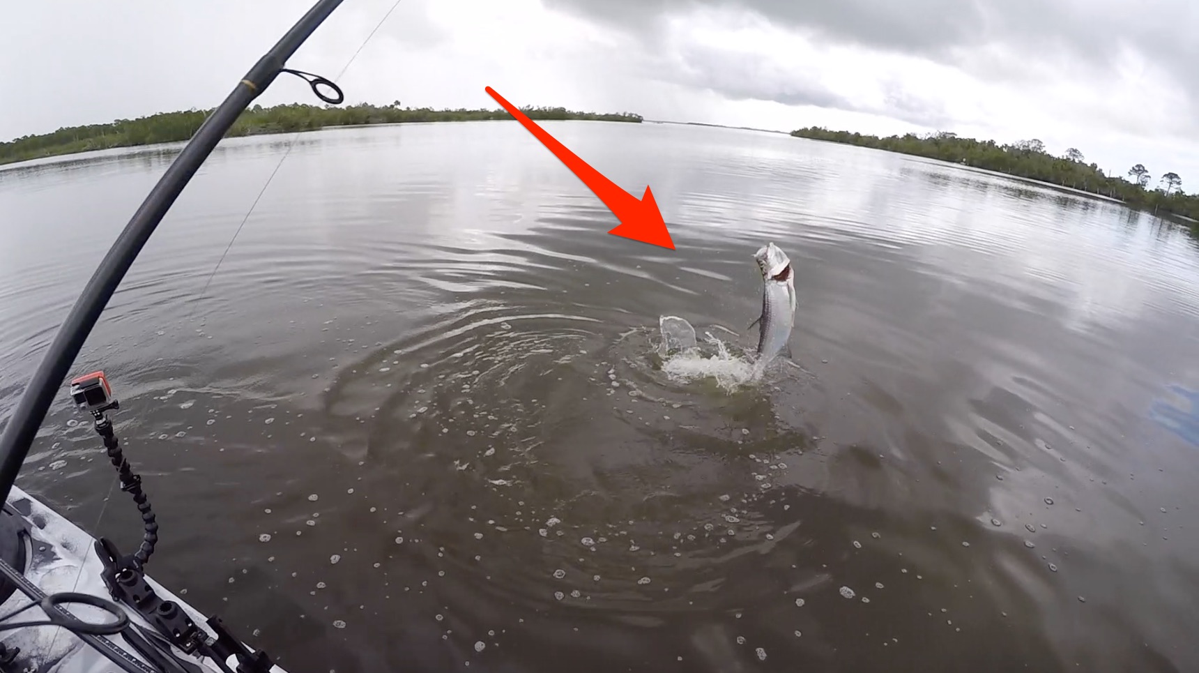 how to catch baby tarpon