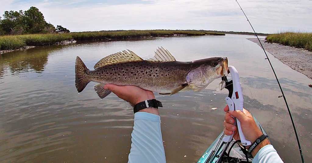 target zones in creek systems
