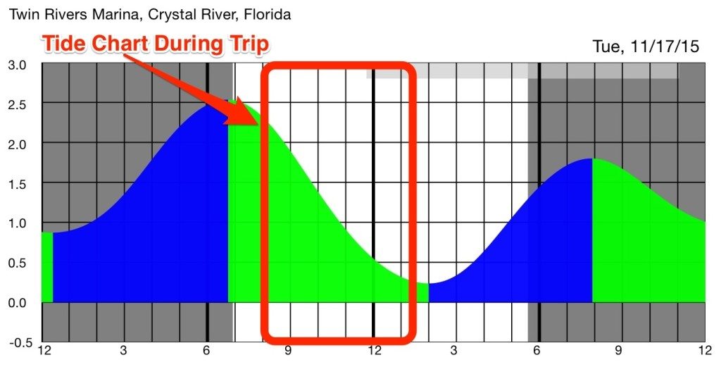Tides during Crystal River trip