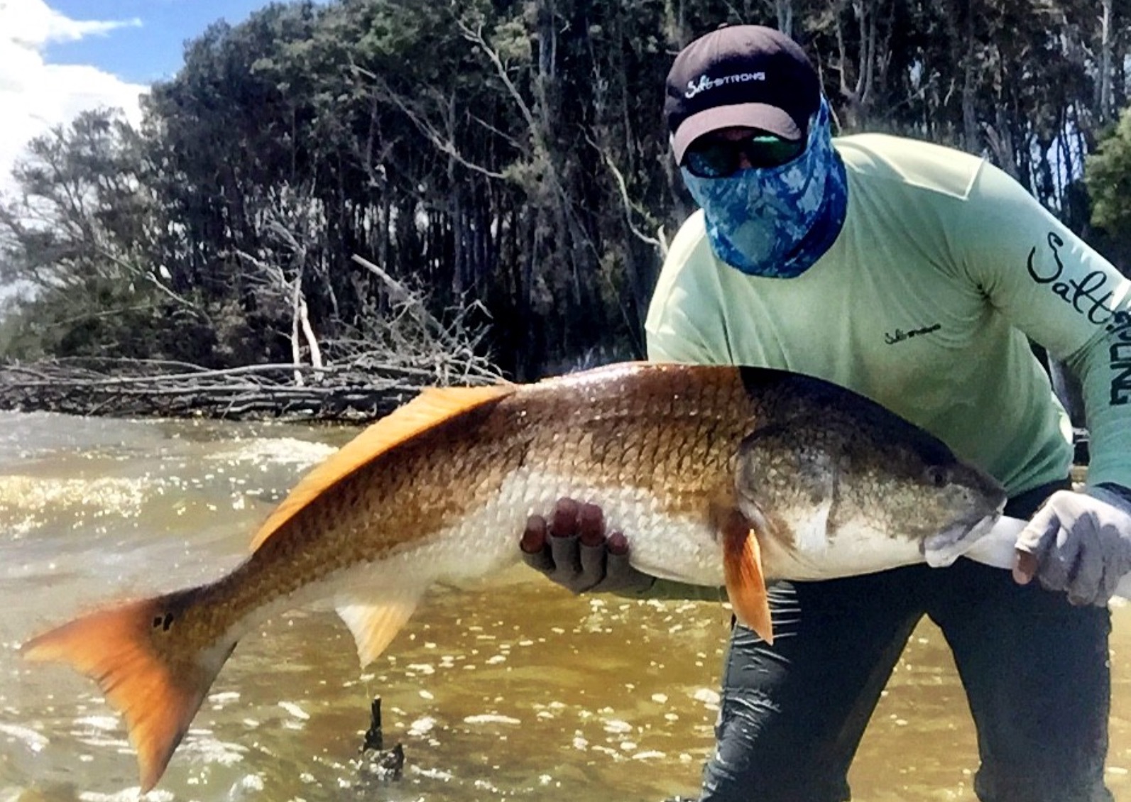 mosquito lagoon redfish
