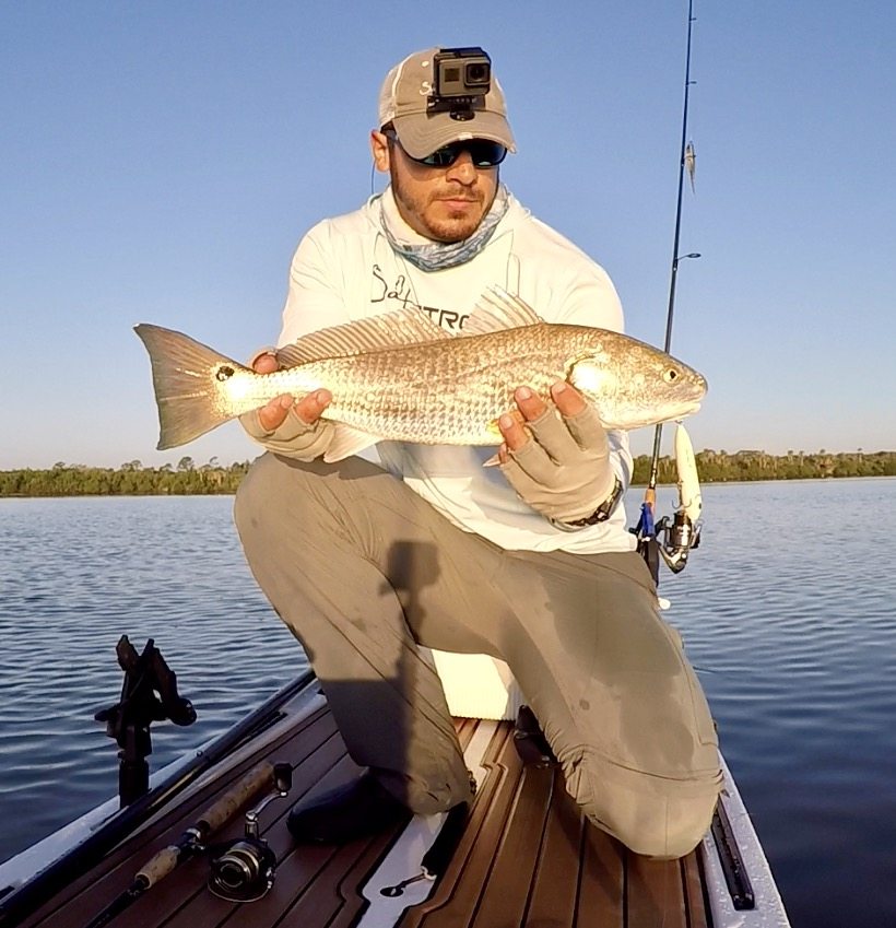 best topwater fishing lures