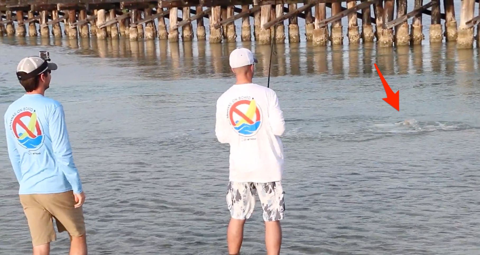 bad luck bananas on fishing boats