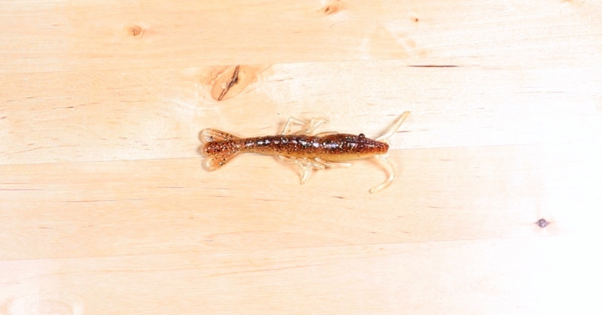 zman scented shrimpz