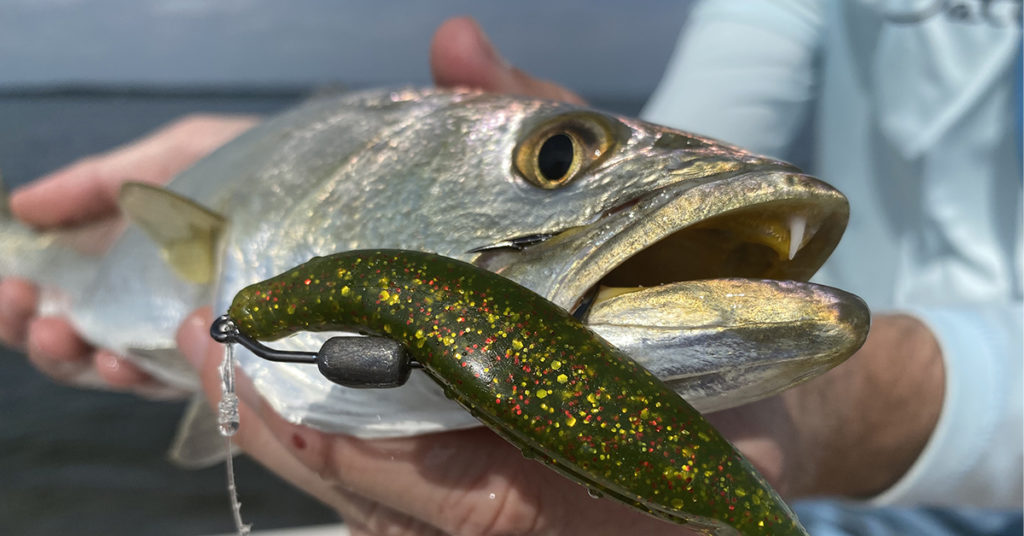 jerk shad vs paddletail