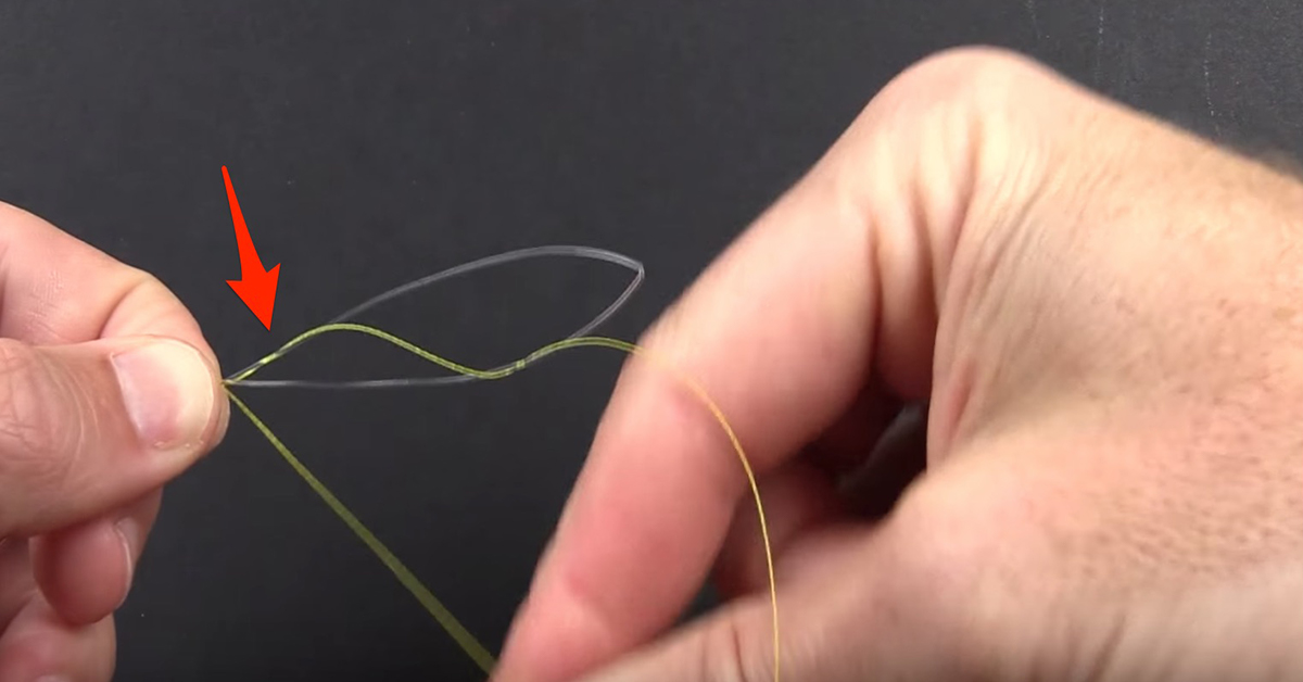 Albright Special Step 4.1