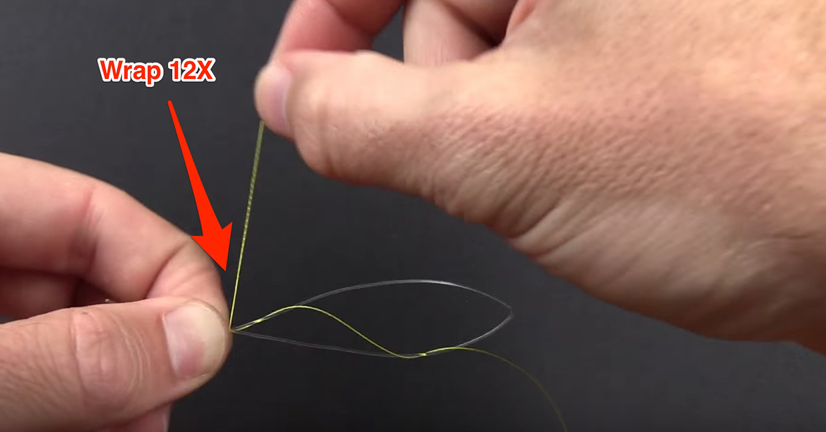 Albright Special step 4.2