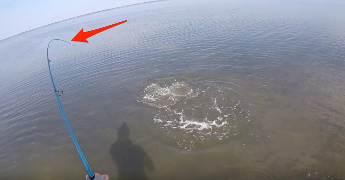 All Star Inshore Series Rod Trout