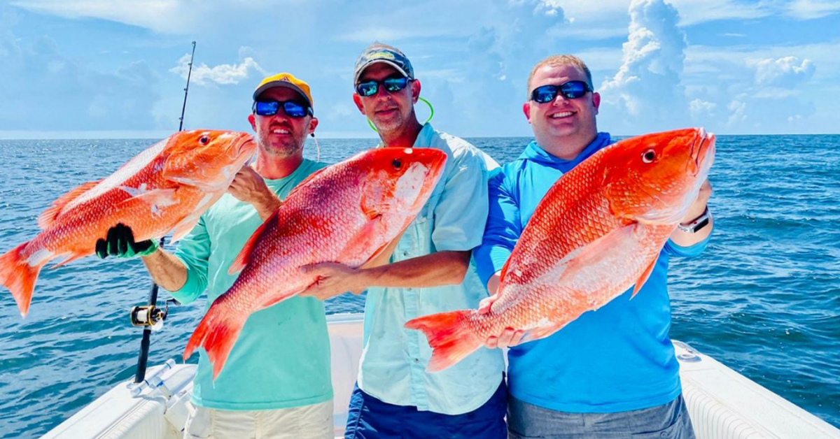 best saltwater fishing newsletter