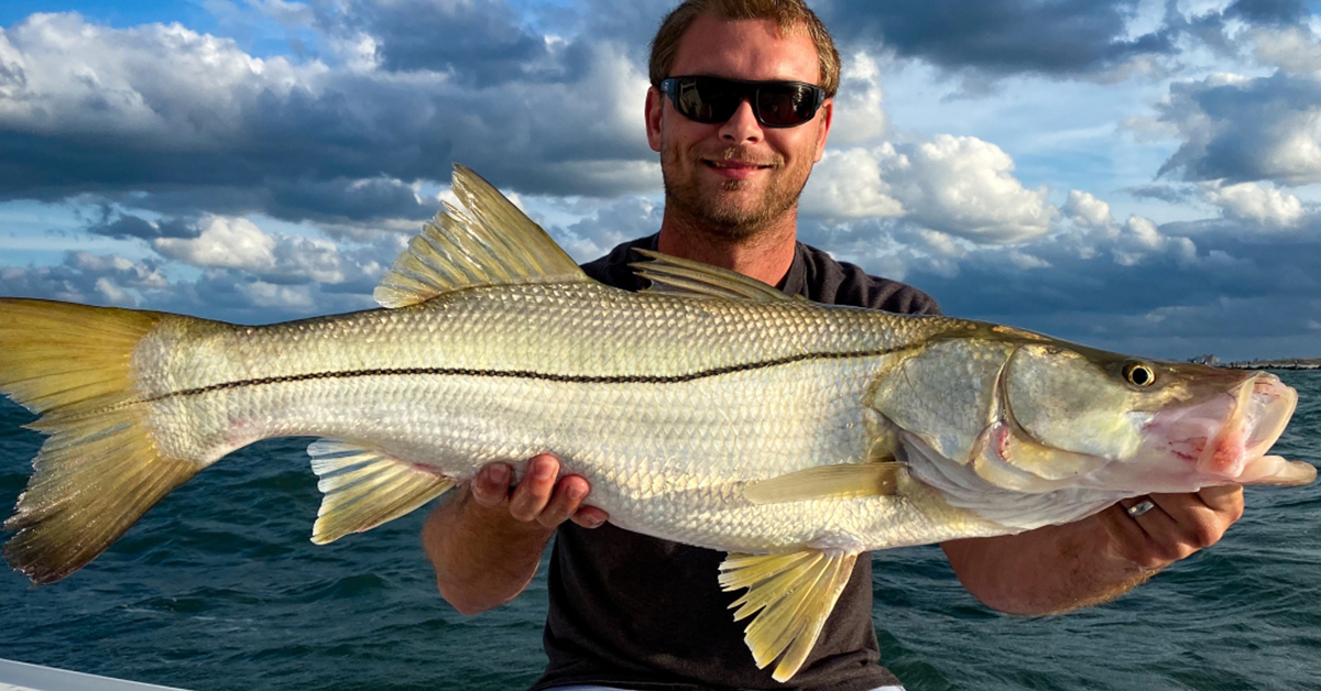 best saltwater fishing newsletter