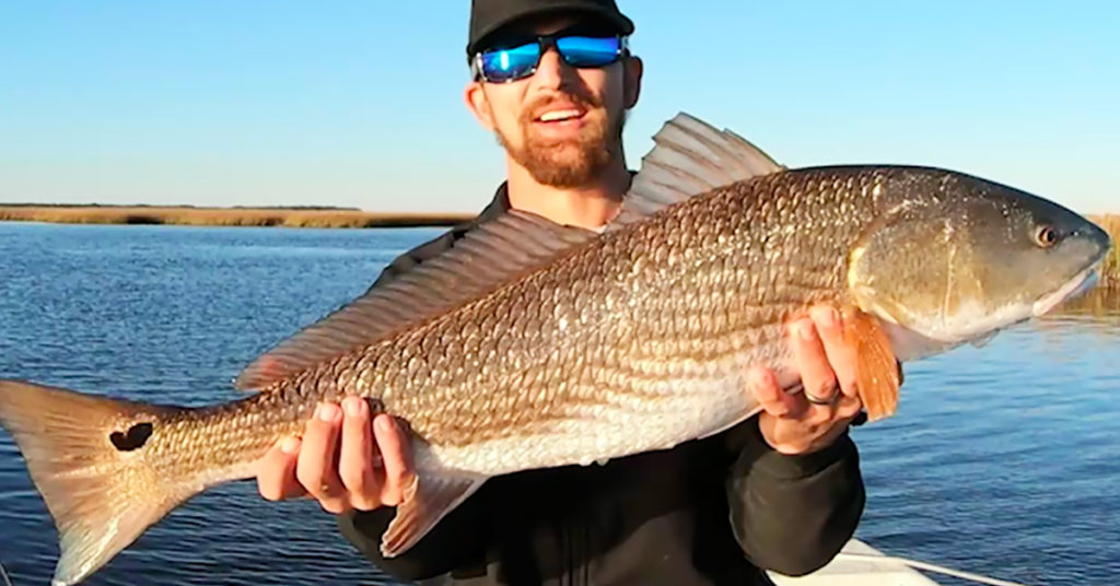 redfish on mud minnows